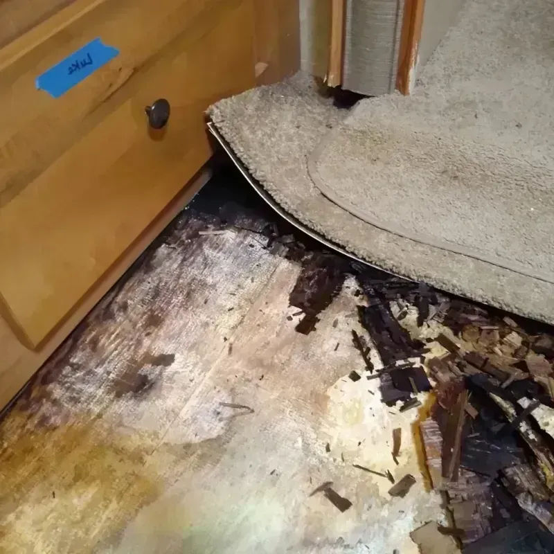 Wood Floor Water Damage in Craven County, NC